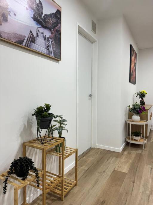 Stunning 3 Bd - 2 Bth City Apt - Pool & Carpark أوكلاند المظهر الخارجي الصورة