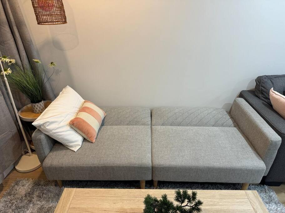 Stunning 3 Bd - 2 Bth City Apt - Pool & Carpark أوكلاند المظهر الخارجي الصورة
