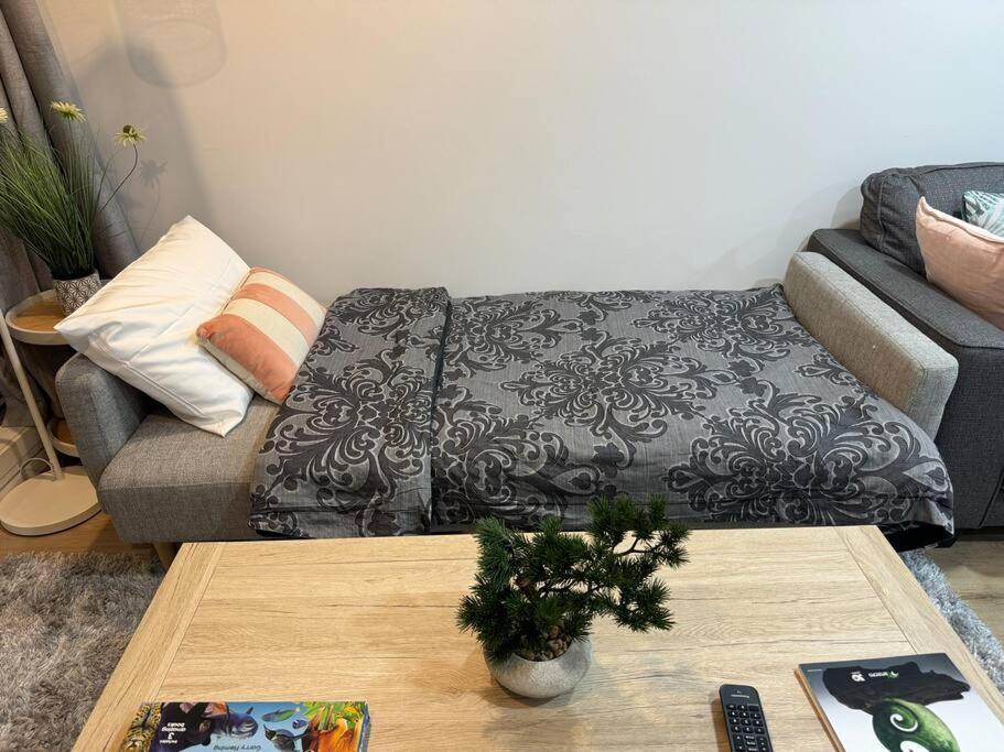 Stunning 3 Bd - 2 Bth City Apt - Pool & Carpark أوكلاند المظهر الخارجي الصورة